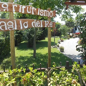 Taglio Del Re , Jesolo Italia